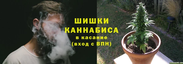 меф Богородицк