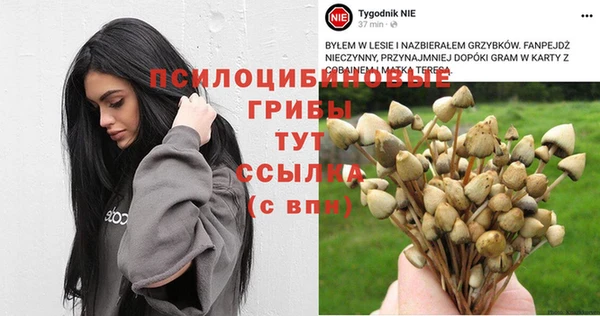 каннабис Богданович