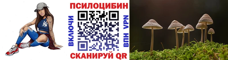 Купить где  Кодинск  Псилоцибиновые грибы мицелий 